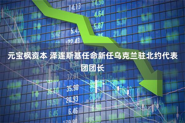 元宝枫资本 泽连斯基任命新任乌克兰驻北约代表团团长