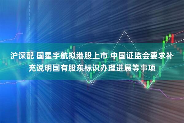 沪深配 国星宇航拟港股上市 中国证监会要求补充说明国有股东标识办理进展等事项
