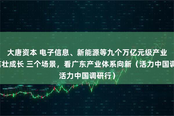 大唐资本 电子信息、新能源等九个万亿元级产业集群茁壮成长 三个场景，看广东产业体系向新（活力中国调研行）