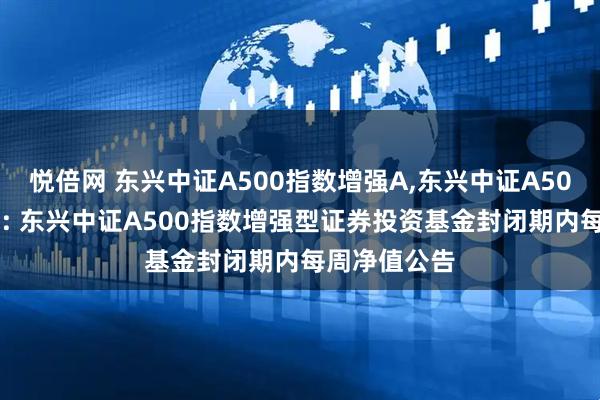 悦倍网 东兴中证A500指数增强A,东兴中证A500指数增强C: 东兴中证A500指数增强型证券投资基金封闭期内每周净值公告