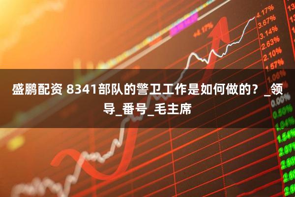 盛鹏配资 8341部队的警卫工作是如何做的？_领导_番号_毛主席