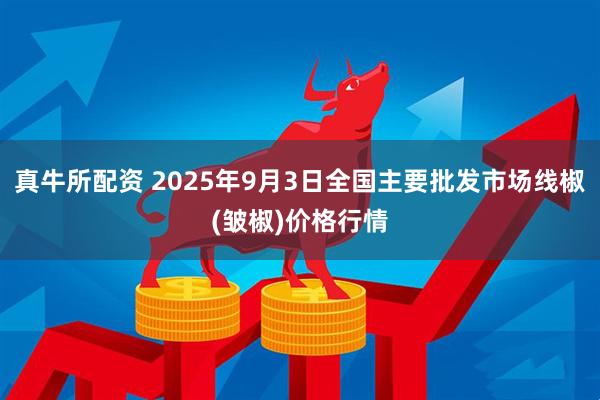 真牛所配资 2025年9月3日全国主要批发市场线椒(皱椒)价格行情